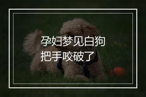 孕妇梦见白狗把手咬破了