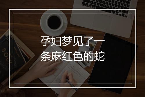 孕妇梦见了一条麻红色的蛇