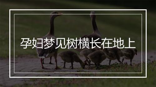 孕妇梦见树横长在地上