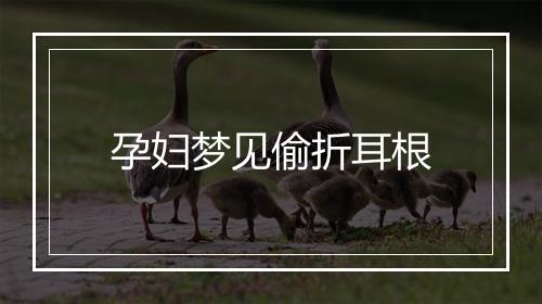 孕妇梦见偷折耳根