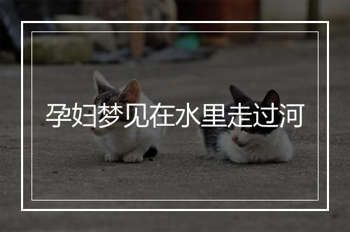 孕妇梦见在水里走过河