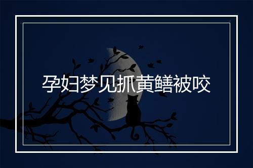 孕妇梦见抓黄鳝被咬