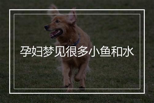 孕妇梦见很多小鱼和水