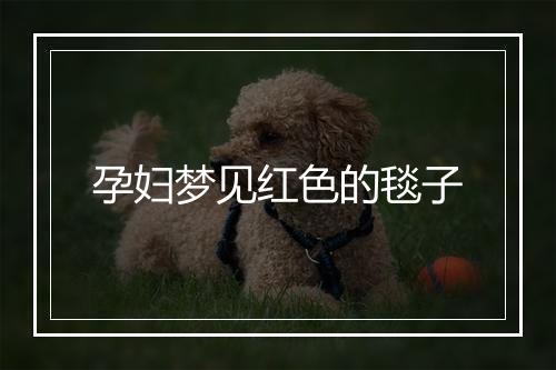 孕妇梦见红色的毯子