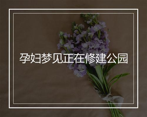 孕妇梦见正在修建公园