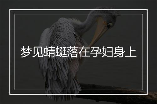 梦见蜻蜓落在孕妇身上