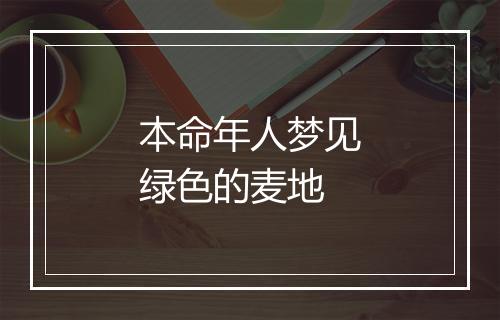 本命年人梦见绿色的麦地