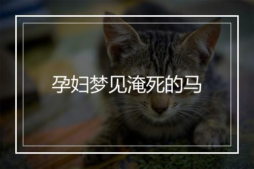 孕妇梦见淹死的马