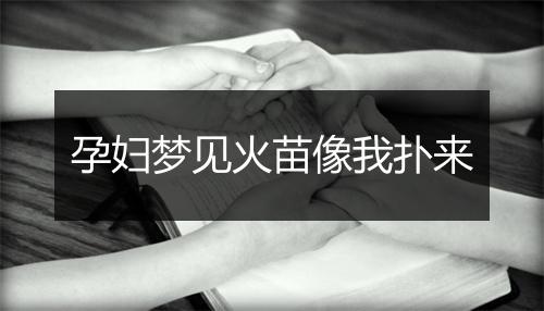 孕妇梦见火苗像我扑来