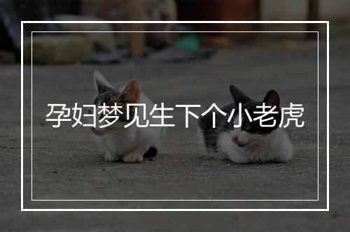 孕妇梦见生下个小老虎