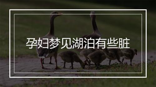 孕妇梦见湖泊有些脏