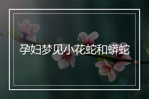 孕妇梦见小花蛇和蟒蛇