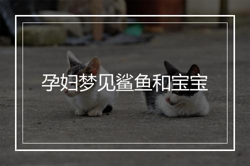 孕妇梦见鲨鱼和宝宝