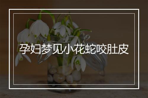 孕妇梦见小花蛇咬肚皮