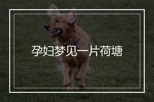 孕妇梦见一片荷塘