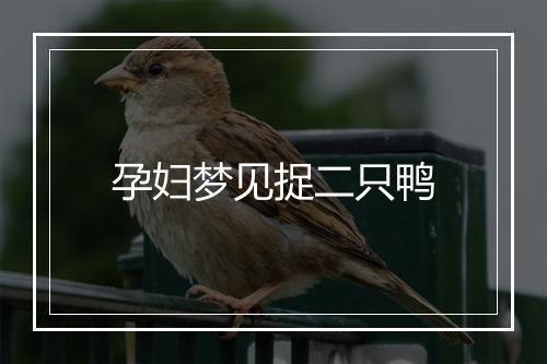 孕妇梦见捉二只鸭