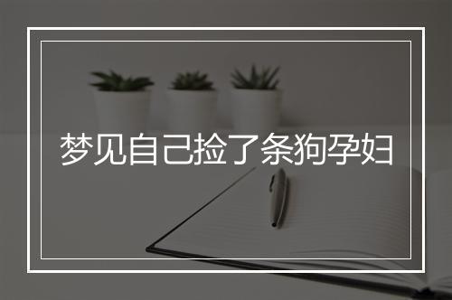 梦见自己捡了条狗孕妇