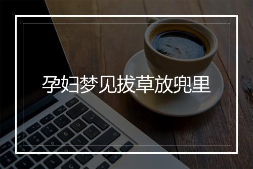 孕妇梦见拔草放兜里