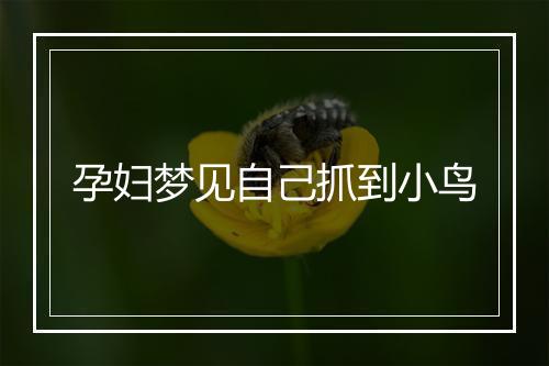 孕妇梦见自己抓到小鸟