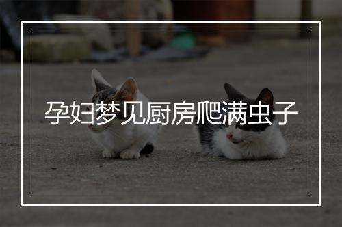 孕妇梦见厨房爬满虫子