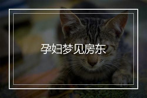 孕妇梦见房东