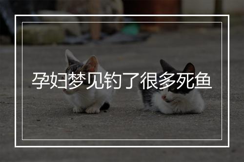 孕妇梦见钓了很多死鱼