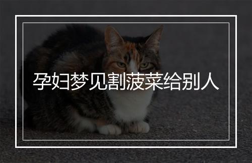 孕妇梦见割菠菜给别人