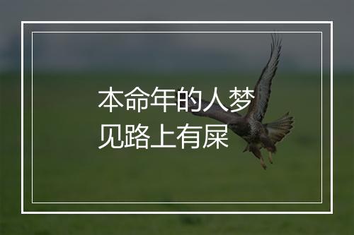 本命年的人梦见路上有屎