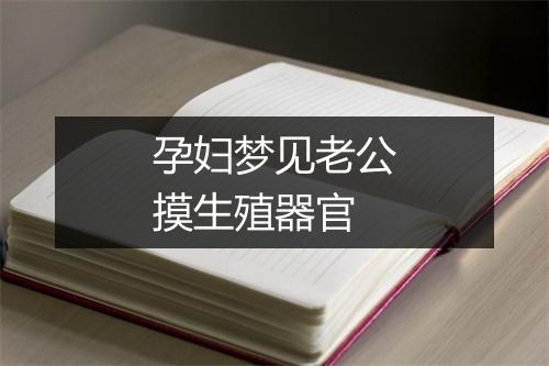 孕妇梦见老公摸生殖器官