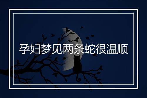 孕妇梦见两条蛇很温顺