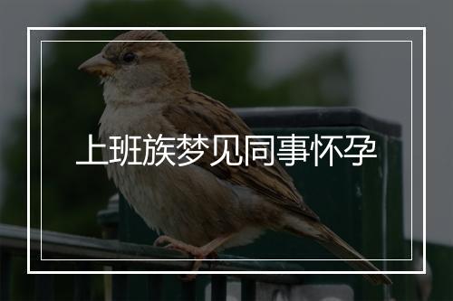 上班族梦见同事怀孕