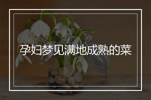 孕妇梦见满地成熟的菜