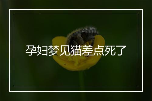 孕妇梦见猫差点死了