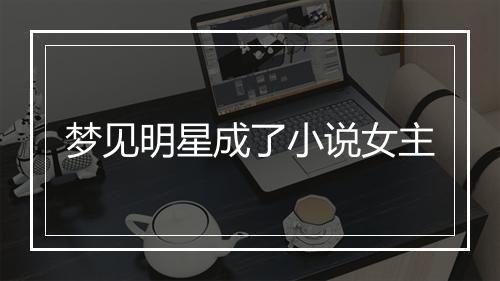 梦见明星成了小说女主