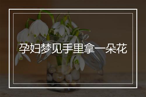 孕妇梦见手里拿一朵花