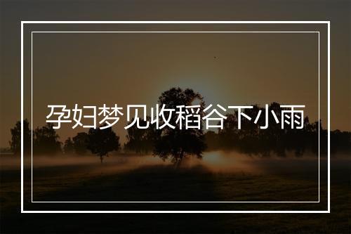 孕妇梦见收稻谷下小雨