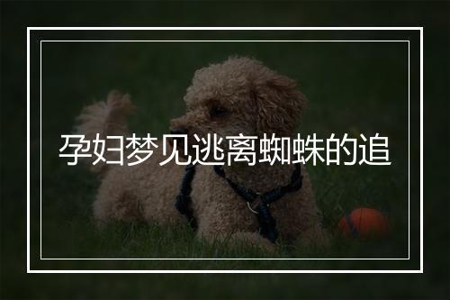 孕妇梦见逃离蜘蛛的追