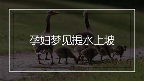 孕妇梦见提水上坡