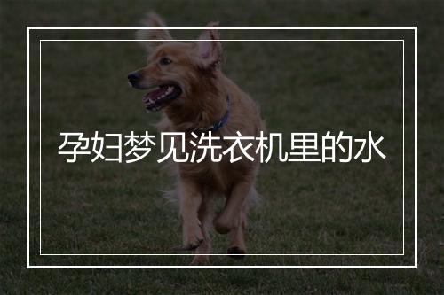 孕妇梦见洗衣机里的水