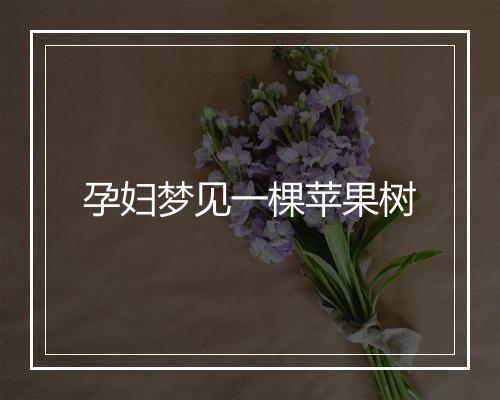 孕妇梦见一棵苹果树