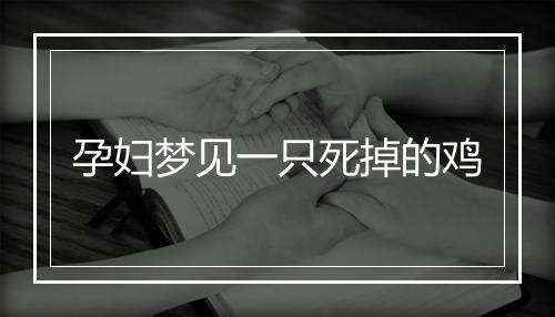 孕妇梦见一只死掉的鸡