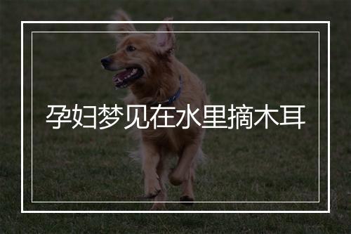 孕妇梦见在水里摘木耳