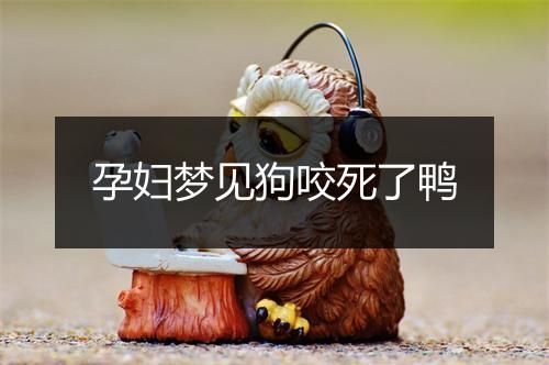 孕妇梦见狗咬死了鸭