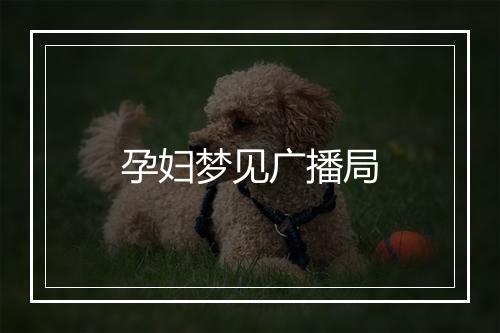 孕妇梦见广播局