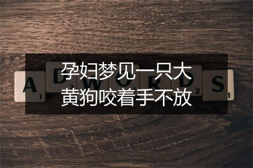 孕妇梦见一只大黄狗咬着手不放