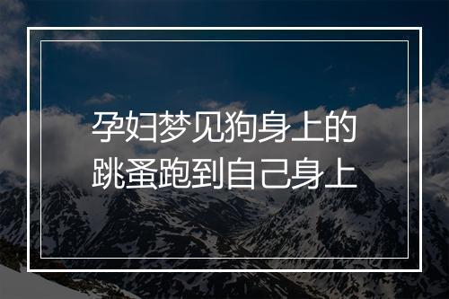 孕妇梦见狗身上的跳蚤跑到自己身上