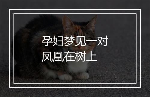 孕妇梦见一对凤凰在树上