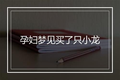 孕妇梦见买了只小龙