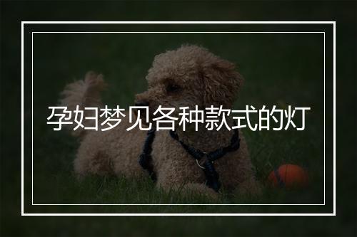 孕妇梦见各种款式的灯