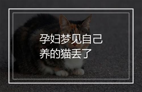 孕妇梦见自己养的猫丢了